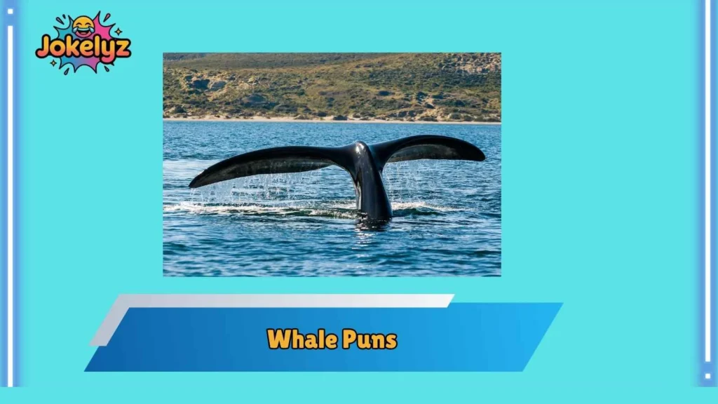 Cute Whale Puns That Melt Hearts