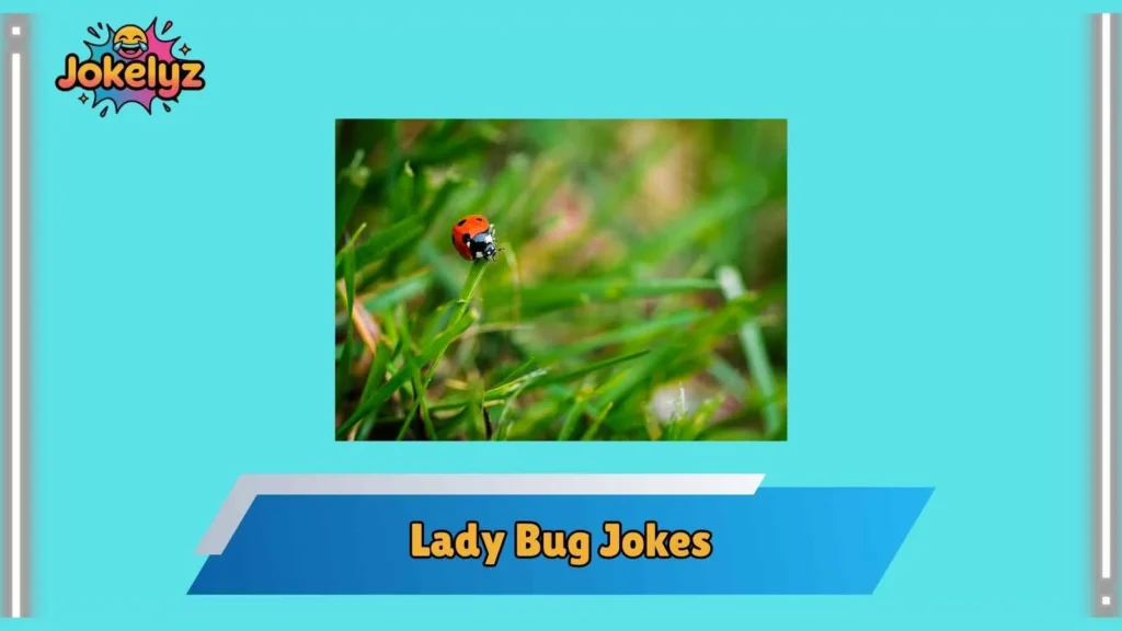 Funny Lady Bug Jokes