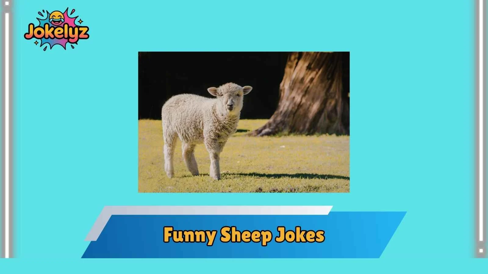 Funny Sheep Jokes