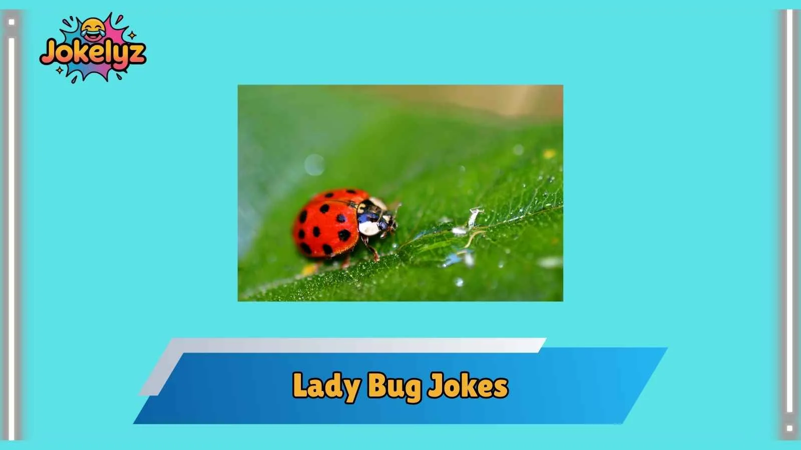 Lady Bug Jokes