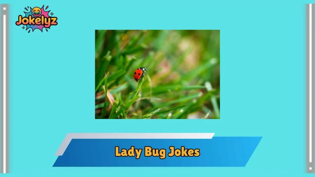 Short Lady Bug Jokes