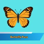 Butterfly Puns