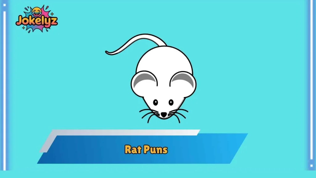 Cute Rat Puns That Melt Hearts