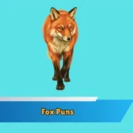 Fox Puns