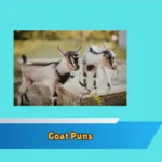 Goat Puns