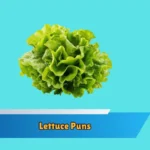 Lettuce Puns