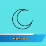 Moon Puns