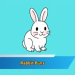 Rabbit Puns