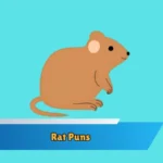 Rat Puns
