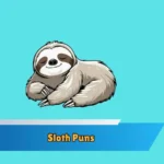 Sloth Puns