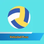 Volleyball Puns