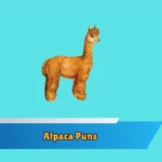 Alpaca Puns