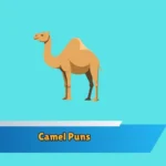Camel Puns