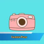 Camera Puns