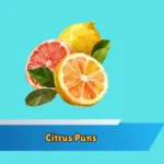Citrus Puns