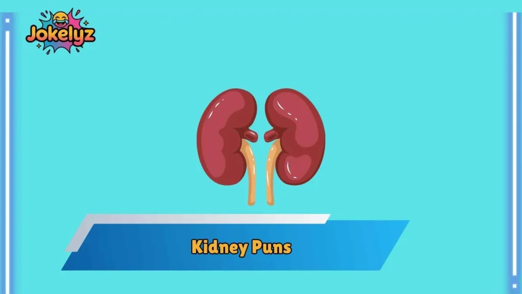 Clever Kidney Puns for Smart Humor