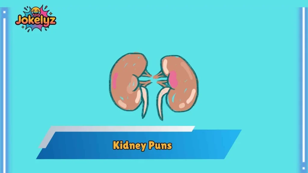 Famous Kidney Puns for Friends and Group Chats