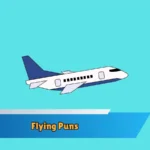 Flying Puns