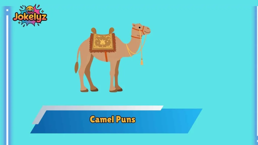 Funny Camel One-Liners for Everyday Laughs