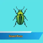 Insect Puns