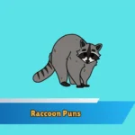Raccoon Puns