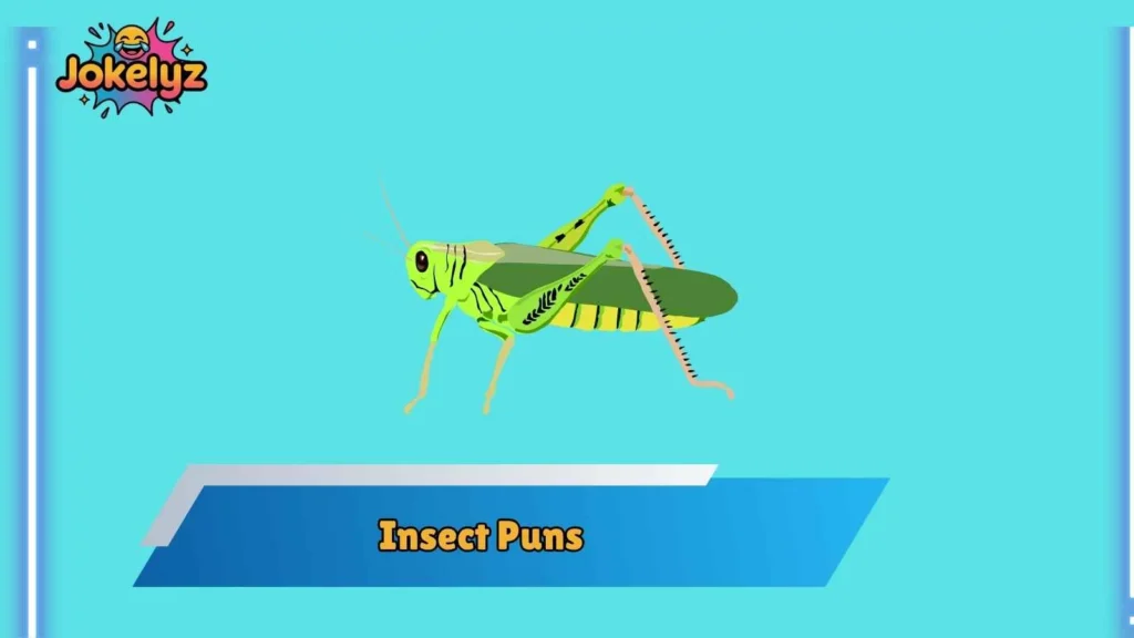 Spider Puns That Spin Absolute Web Gold