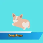 Corgi Puns