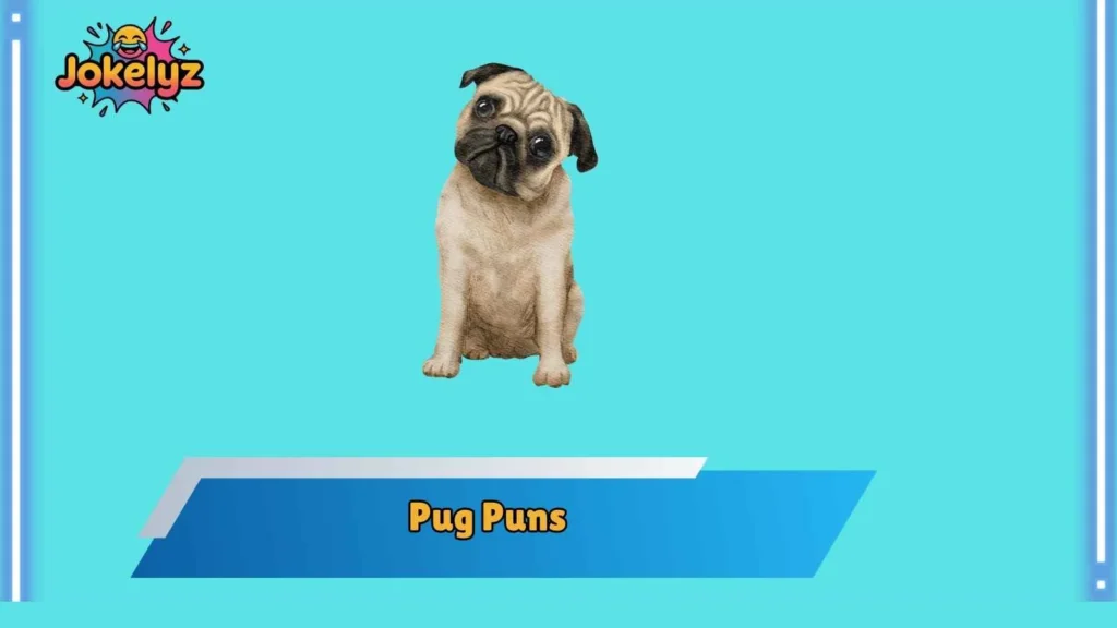 Funny Pug Puns That Bring Instant Laughs