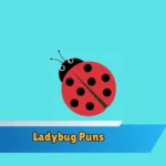 Ladybug Puns