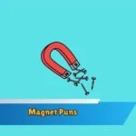 Magnet Puns